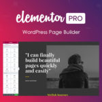 Plugin i Theme Elementor Pro dla WordPress i WooCommerce