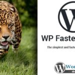 WP Fastest Cache